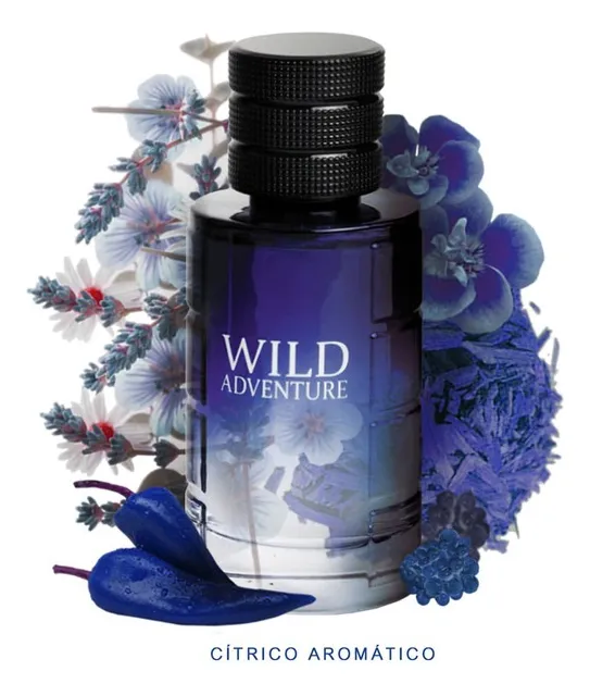 Wild Adventure 100ml Edt - Linn Young Volume Da Unidade 100 Ml